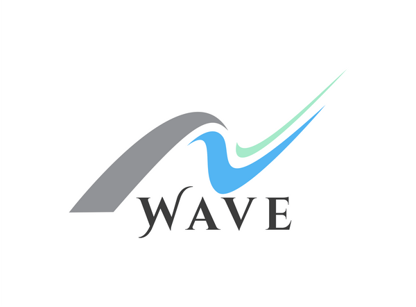 Everything You Need to know about Wave - WAVE FAST